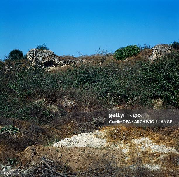Almopia Almopia Photos and Premium High Res Pictures - Getty Images