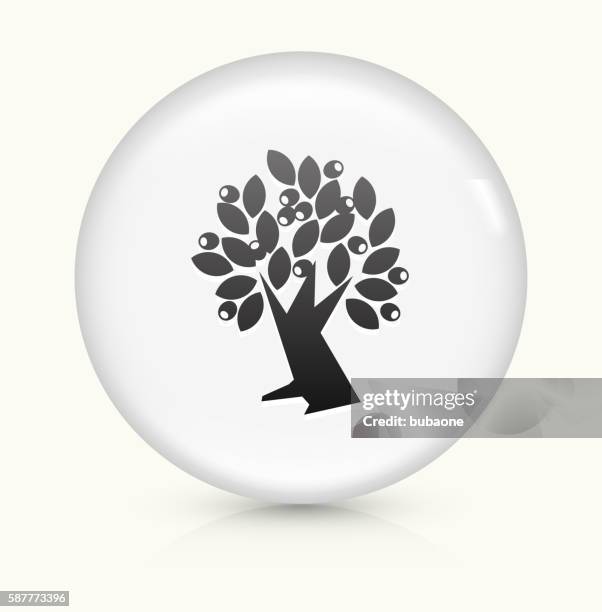 olive tree icon on white round vector button - olive oil white background stock illustrations