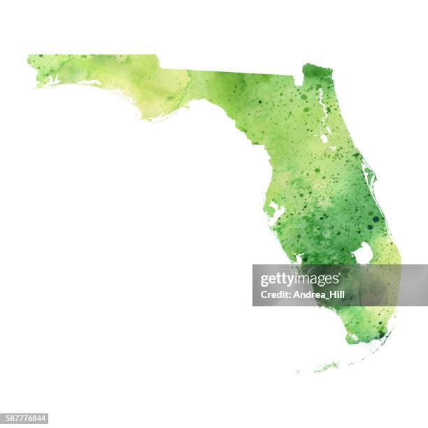 map of florida with watercolor texture - raster illustration - florida us state stock illustrations