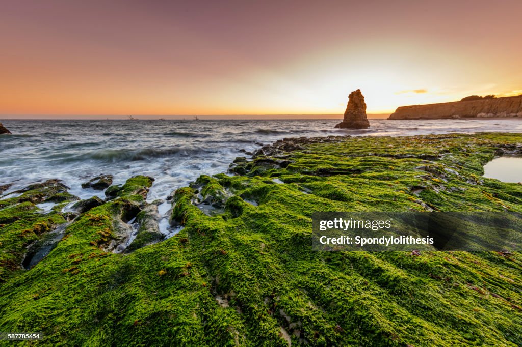 Davenport Strand in der Nähe von San Francisco