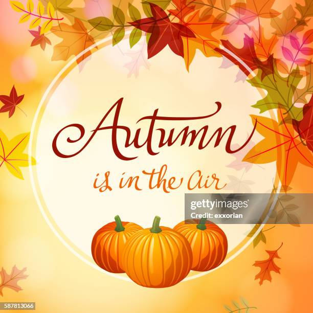 autumn comes with pumpkins - wilted plant stock illustrations