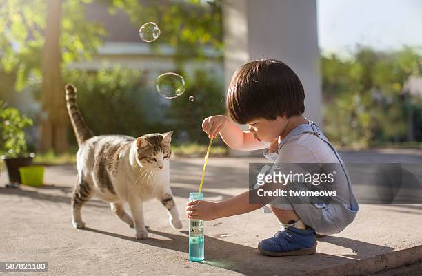 asian toddler boy 2 to 3 years old making bubbles in the garden. - pony play stock-fotos und bilder