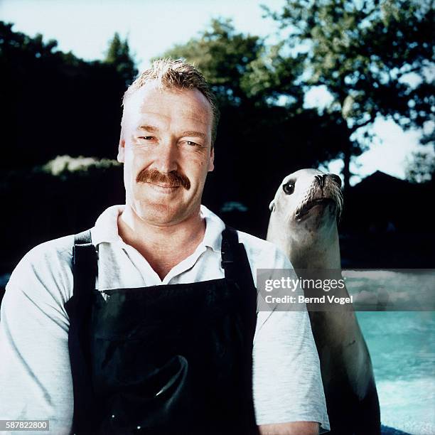 keeper with sea lion - zoowärter stock-fotos und bilder