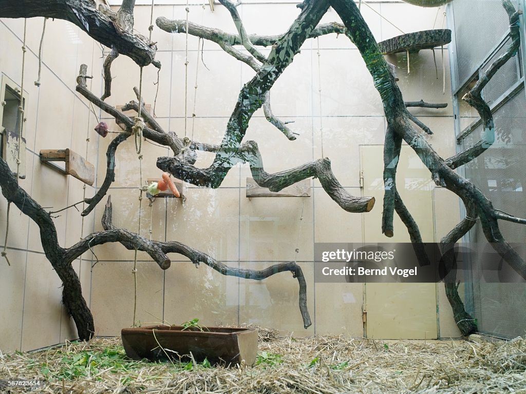 Empty zoo exhibit