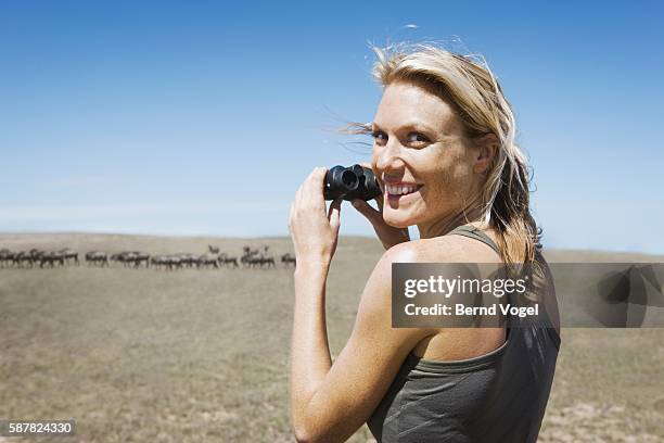woman watching herd of wildebeests - holding binoculars stock pictures, royalty-free photos & images
