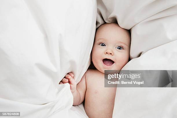 baby laying on blanket - cute baby studioshot stock-fotos und bilder