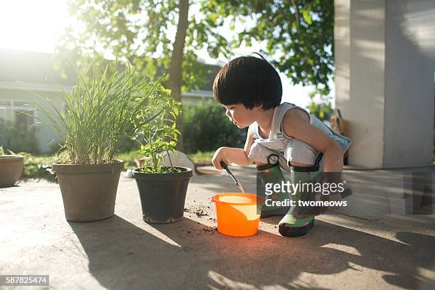 asian 2 to 3 years old toddler boy doing gardening work. - einjährig pflanzeneigenschaft stock-fotos und bilder