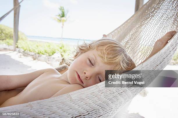 boy (4-5) sleeping in hammock - kids kindness stock pictures, royalty-free photos & images