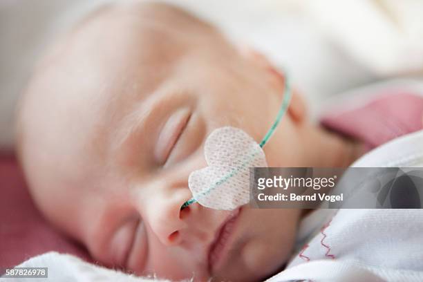baby in intensive care - premature baby stock pictures, royalty-free photos & images