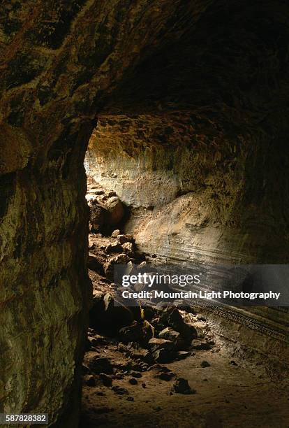 Rocks sit on the floor of a lava tunnel. Santa Cruz Island, Galapagos Islands, Ecuador.