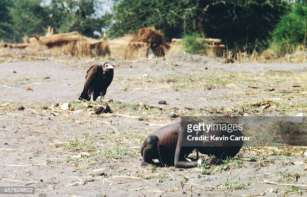 Vulture Watching Starving Child, 1st March 1993.