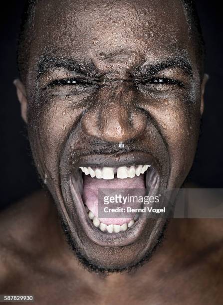 studio portrait of young man screaming - man sweating bildbanksfoton och bilder