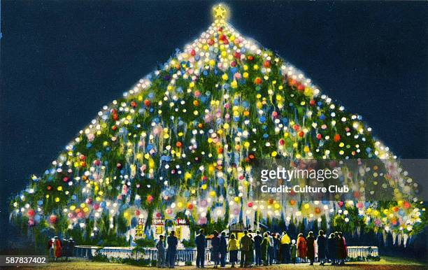 World s Largest Living Christmas Tree, Wilmington, North Carolina. Caption reads: This three hundred year old Live Oak is lighted with 4,000...