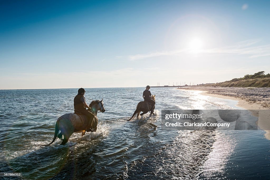 Two Horses Being Ridden On The Beach Into The Sunset High-Res Stock ...