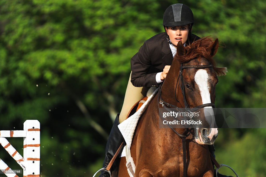 Woman Equestrian Riding Jumping on Show Horse