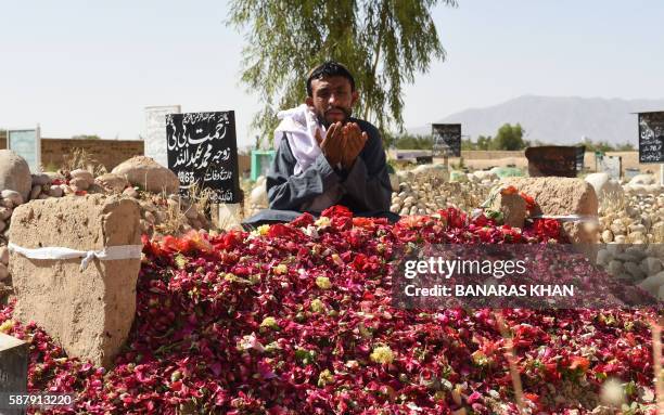 In this photograph taken on August 9 a Pakistani relative prays beside the grave of a lawyer who was killed in a suicide bombing at the Civil...