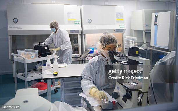 Cloning Lab Photos and Premium High Res Pictures - Getty Images