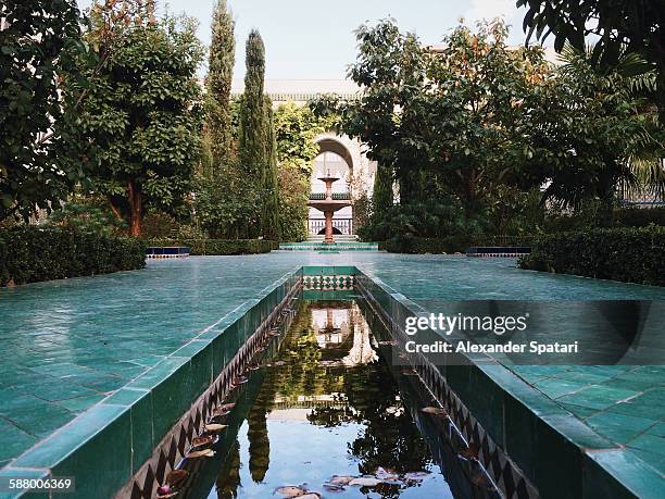 great mosque of paris inner court, paris, france - grand mosque stock pictures, royalty-free photos & images