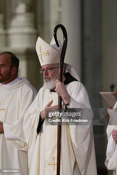 Sean Patrick O'Malley during his installation ceremony, naming him the new Archbishop of Boston at the Cathedral of the Holy Cross.