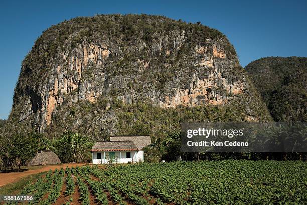 House at the foot of a rocky hillside just outside of Viñales, Cuba December 29, 2014. The United States announced last month that it will end its...