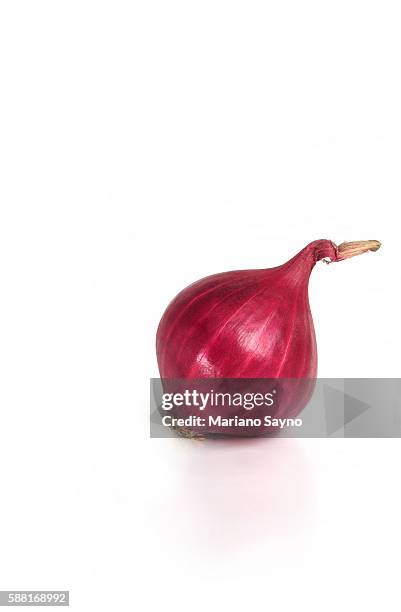 one onion white background, studio shot - onion foto e immagini stock