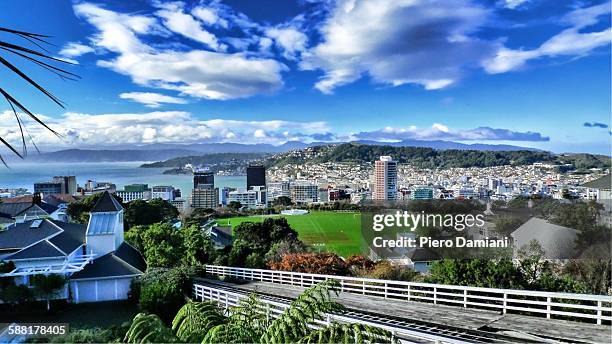 panoramic view of wellington - wellington nz fotografías e imágenes de stock