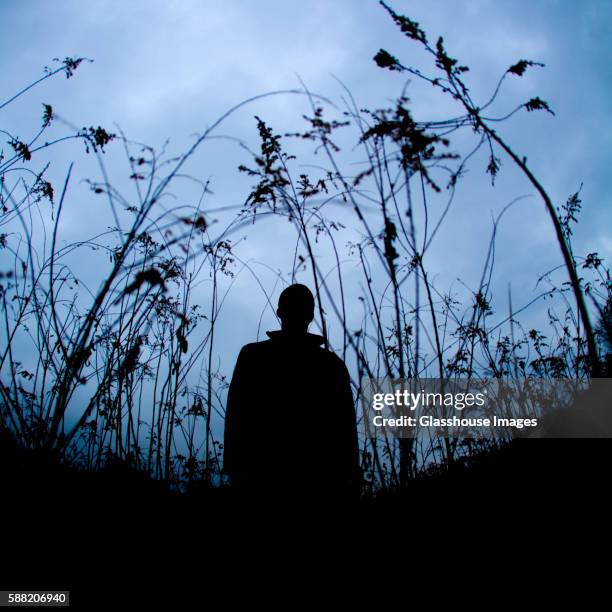 silhouetted figure standing in dusky field - acosador fotografías e imágenes de stock