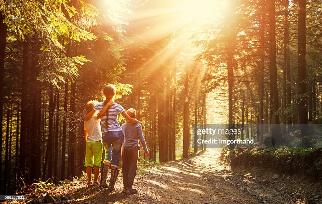 Kids watching beautiful sun beams in forest