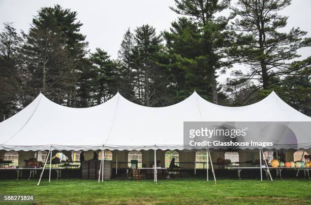 wedding tent on grass beneath trees - tent foto e immagini stock