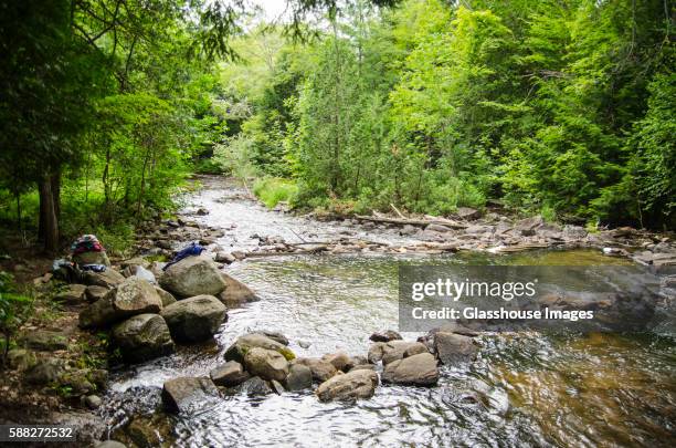 rocky stream flowing through woods - rural ontario canada stock pictures, royalty-free photos & images