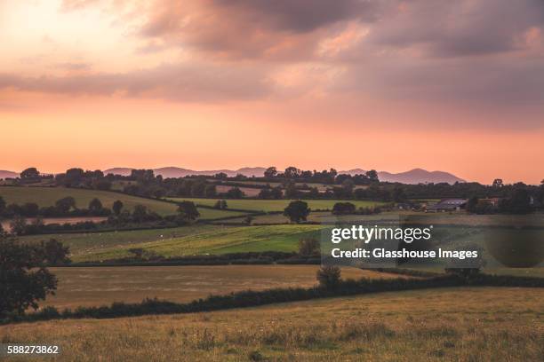 farm and rural countryside at sunset - barn stock pictures, royalty-free photos & images