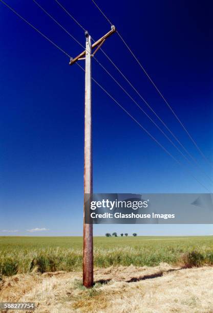 telephone pole in field - utility pole stock pictures, royalty-free photos & images