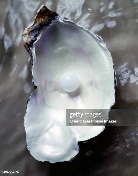 oyster shell with single pearl - parel stockfoto's en -beelden