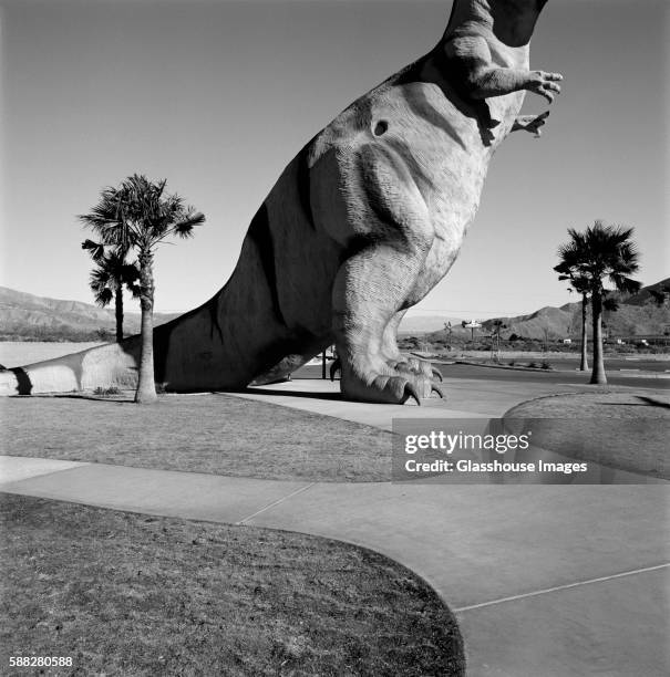 t-rex - remote location photos stock pictures, royalty-free photos & images