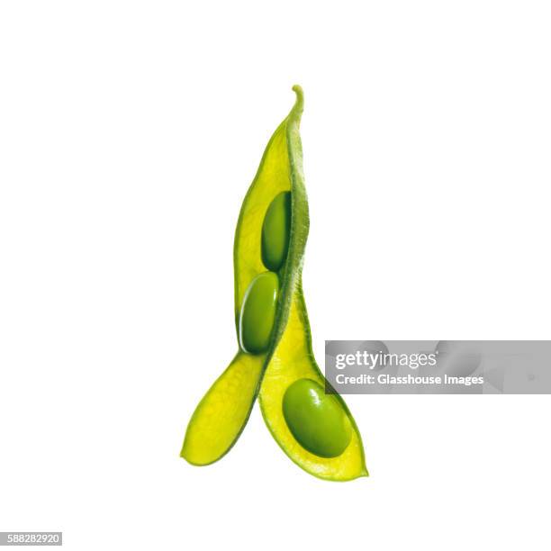 edamame - pod stock pictures, royalty-free photos & images