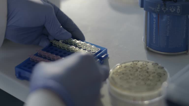 Sample Handling 71 Sample Handling Stock Videos, Footage, & 4K Video Clips - Getty Images