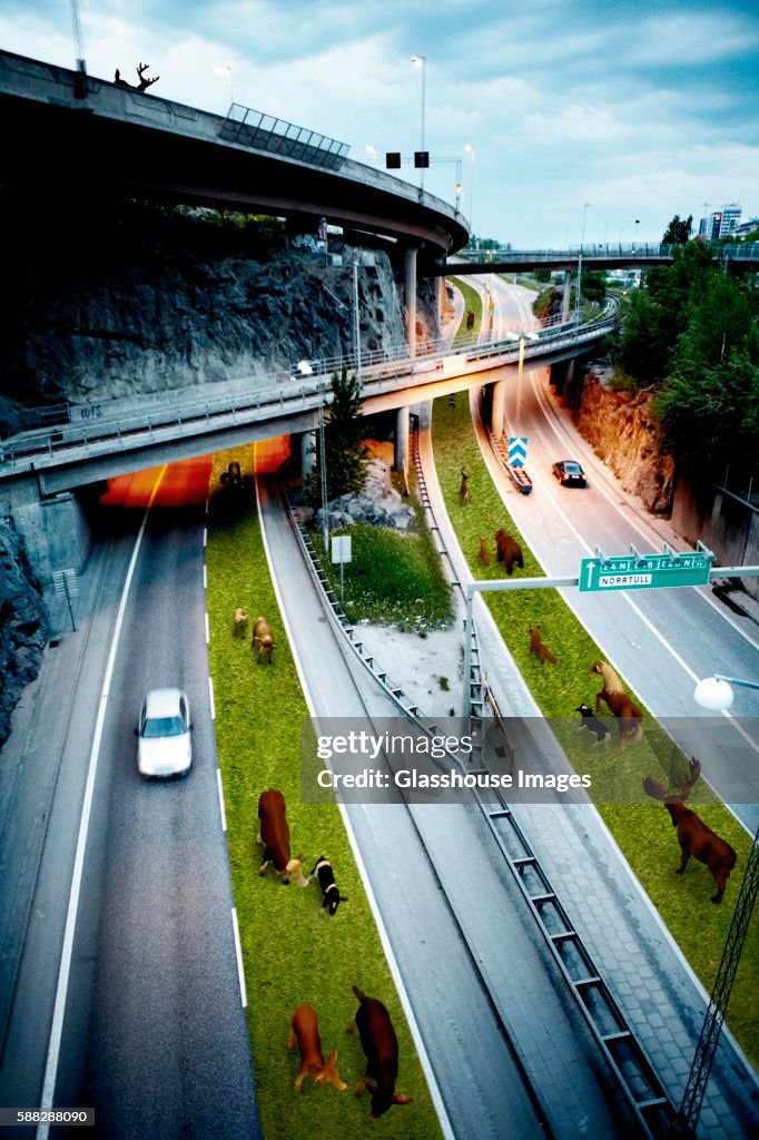 Highway With Plastic Animals, Stockholm, Sweden