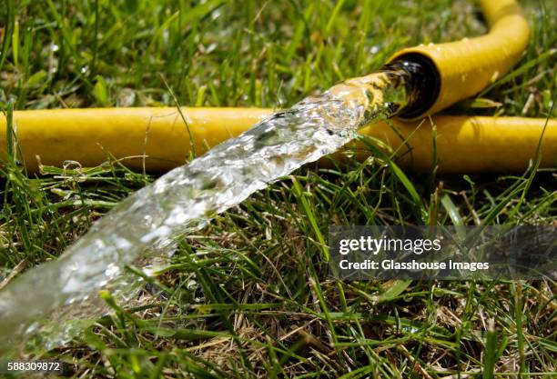 hose with running water - garden hose foto e immagini stock