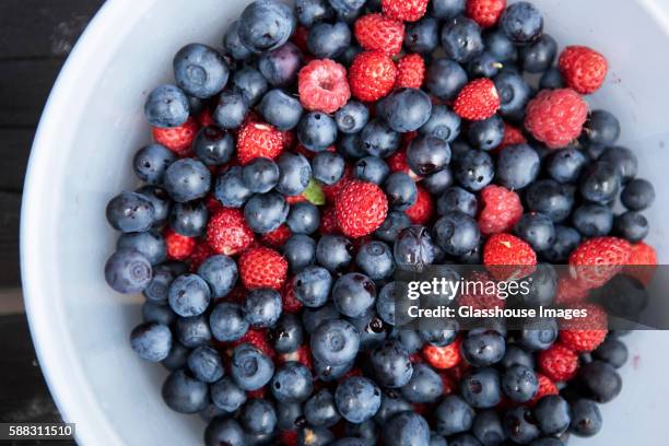 mixed bowl of berries - berry fruit foto e immagini stock