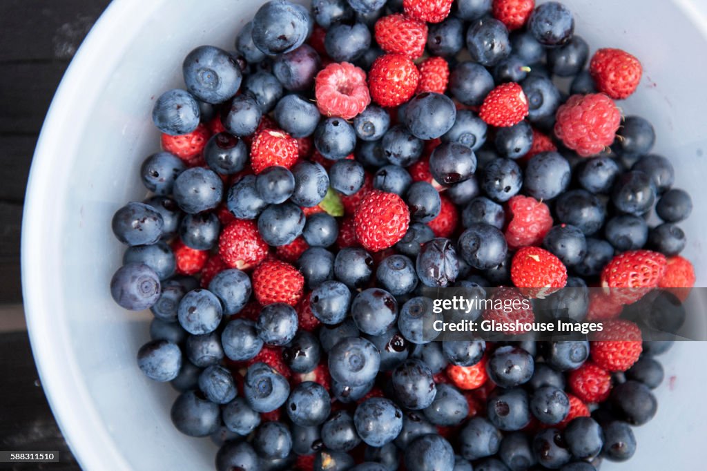 Mixed Bowl of Berries