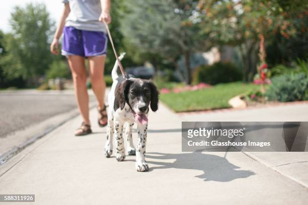 teenage girl walking dog - sidewalk stock pictures, royalty-free photos & images