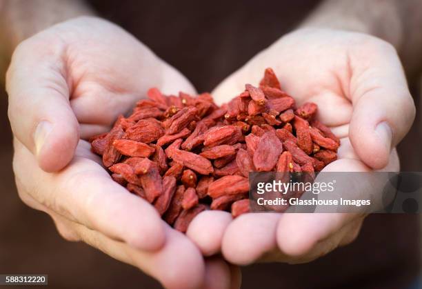 hands holding dried goji berries - bocksdornfrucht stock-fotos und bilder