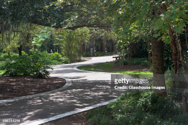 bicycle path - hilton head stock pictures, royalty-free photos & images