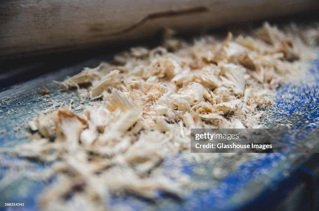 Pile of Sawdust Close-up