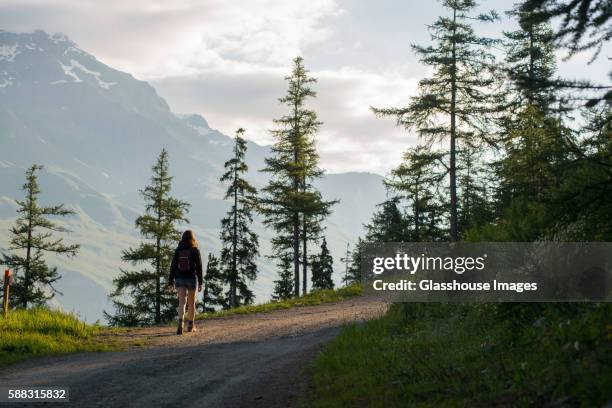 young adult woman hiking on mountain trail at sunrise with alps in background, col du mont cenis, val cenis vanoise, france - vanoise national park stock pictures, royalty-free photos & images