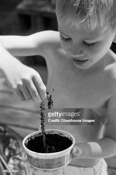 young boy with worm - oquossoc - fotografias e filmes do acervo
