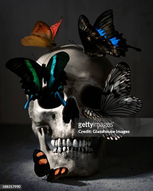 human skull and butterflies - rebirth stock-fotos und bilder