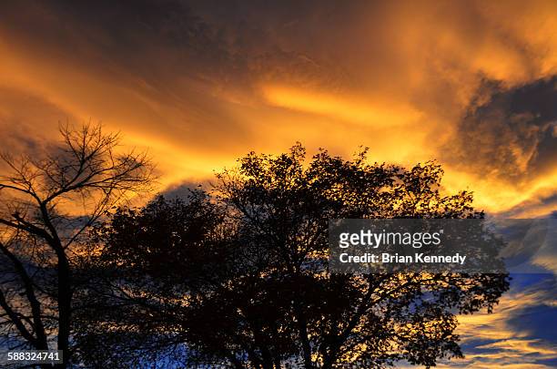 autumn chinook sunset sky - chinook dog stock pictures, royalty-free photos & images