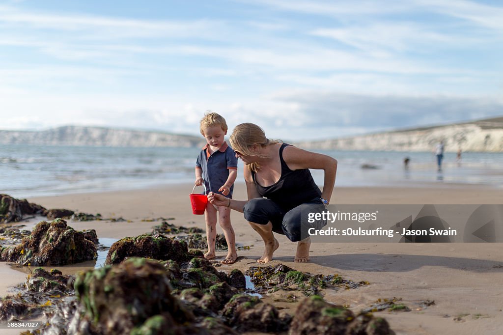 Autumn beach life, Compton bay, isle of wight