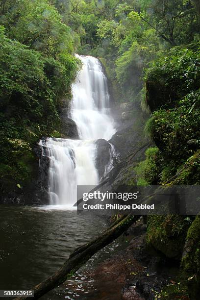 surpresa waterfall, corupá, brazil - surpresa stock pictures, royalty-free photos & images
